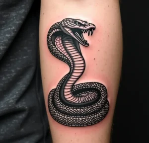 Cobra Tattoo, King Cobra Tattoo.